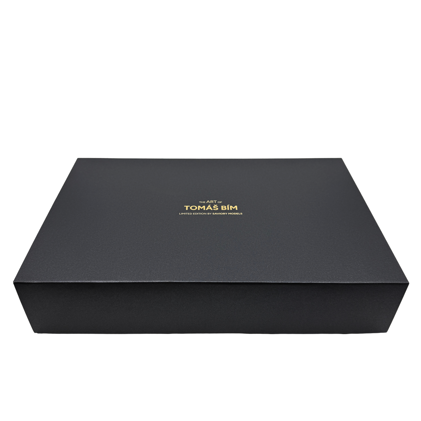 Tomáš Bím | Podobizna