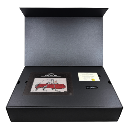 Jiří Slíva | Grasshopper cabrio